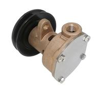 Pompe À Eau De Mer Brute Pour Kohler Pour Générateurs GM46946 344371 Pour Sherwood G910P JMP JRP-KL101P Pompe à Eau