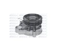 Pompe à eau DOLZ B320