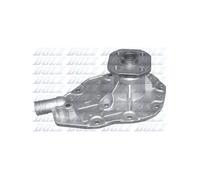 Pompe à eau DOLZ R108