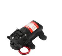 Pompe à eau électrique agricole DP-521, 1 pièce, 12V, 110V, 220V, 70psi, 3,5 l/min, Micro haute pression, pulvérisation à diaphragme, lavage de voiture(220V)