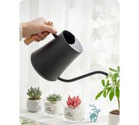 Pompe à eau en acier pour bonsaï d'intérieur avec poignée en bois - 1 litre - noire - Pompe de jardin avec long bec verseur pour les plantes - Usage intérieur