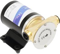 Pompe à eau, moteur 100 % cuivre 120 W, débit élevé 30 l/min, 12 V, UE
