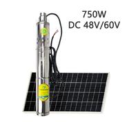 Pompe à eau solaire à vis sans balais avec contrôleur intégré, débit d'eau maximal, 750 litres par heure, pompe de puits profond, 2000 W, DC 48V 750W(Only pump)