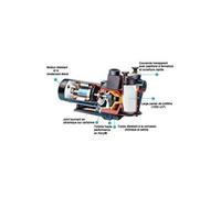 Pompe Piscine Max Flo Hayward - 0.75cv 11m³/h Tri