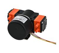Pompe à membrane KLLP1000 BLDC 12V/24V longue durée de vie 6000H for les analyses en laboratoire, les instruments médicaux et l'industrie du remplissage