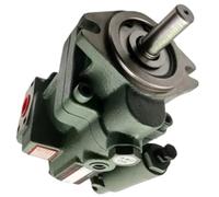 Pompe à piston hydraulique P22-A1-FR-01 P22-A3-FR-01 P22-A3-FL-01(P22-A2-F-R-01)