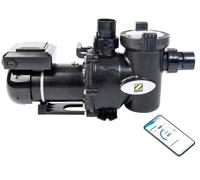 Zodiac E30iq 100 Variable Speed Pump Argenté