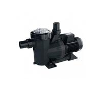 Astralpool 38774 Victoria Plus 16000 L/h 0.73 Kw 1 Cv Tri 230/400v Iii Self-priming Pump Argenté