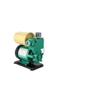 Pompe auto-amorçante automatique 220v, surpresseur domestique, eau du robinet, chauffe-eau froide, pompe à tuyau(250W)
