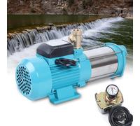 Pompe centrifuge 1300 W - Électrique 220 V - Débit de 4000 L/H - Entrée et sortie de 1 pouce