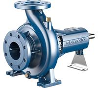 Pompe centrifuge à arbre libre Pedrollo FG 40/160A
