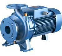 Pompe centrifuge électrique monobloc triphasée Pedrollo F4 50/250D