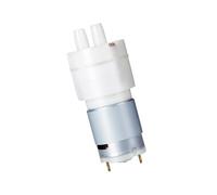 Pompe de d ' eau compacte, 12V385
