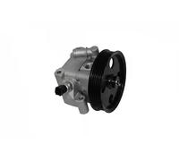 Pompe de direction assistée hydraulique 7076075 SASIC pour FORD VOLVO