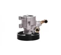 Pompe de direction assistée hydraulique avec poulie 10SKV013 ESEN SKV pour FIAT