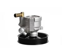 Pompe de direction assistée hydraulique avec poulie 10SKV083 ESEN SKV pour OPEL