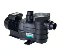 Pompe 0,75 CV / 13 m³/h Mono - Powerline by Hayward G