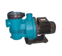 Pompe de Filtration PULSO 0.75 CV Monophase 15 m3 par Heure