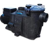 Pompe de piscine Hayward, modèle PP GF, diamètre 63 mm, 1,5 CV, série RS II, référence 30161