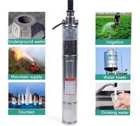 Pompe de puits profond Pompe de puits à vis Pompe immergée Pompe de jardin Pompe tubulaire Pompe à eau en acier inoxydable 220V 250W 1600 L/h 20m de câble