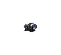 Pompe de surface corps fonte eau claire mono-cellulaire 600W 3m3 / heure CAP VERT