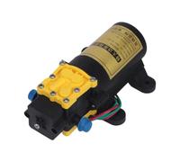 Pompe de transfert d'eau 12 V pour systèmes de pulvérisation à dos | Structure du diaphragme, courant 5,0 A, module compact de ports de tuyau