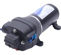 Pompe de transfert d'eau, pressostat automatique, moteur à faible consommation d'énergie, 12V, noir, EU
