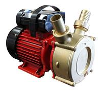 pompe de transvasement de bffbem30 débit 65L/min.