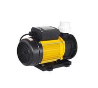 Pompe d'eau de mer avec filtre à sable pour étangs à poissons, haute pression et résistance à la corrosion, idéale pour les hôtels et les bassins, générateur de vagues, entretien facile, modèle TDA-12