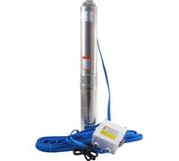 Pompe double pour eau claire, 550 W - Idéale pour le jardin et les bassins