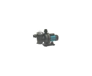 Pompe Espa Silver - 10T - 0.6CV Tri