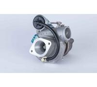 Pompe hydraulique BORG WARNER 118613