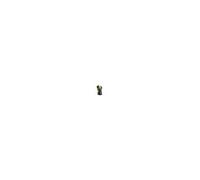 Stanley - Pompe Immergie - Eau Claire - 400 W