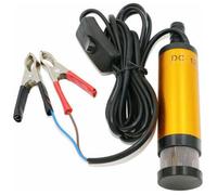 Pompe immergée 12V eau gasoil - Débit 12 L/min - Hauteur de levage 2 m - Acier inoxydable anti-corrosion - Longueur câble 3 m