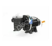 Pompe piscine STA RITE PENTAIR de 18 m3/h mono ( 1.5 CV )