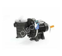 Pompe La Sta-Rite 1 CV / 16 m³/h Tri - Pentair