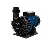 Pompe NCC Vipool 3 cv Monophasée