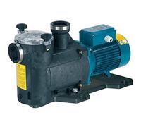 Pompe piscine avec filtre MPC51m 1,1kW 1,5Hp Monophasé 230V 50Hz Calpeda MPCM
