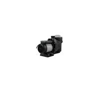 VEVOR Pompe Piscine Filtration 19200 L/h Pompe Circulation Eau Panier Filtre Amovible 1 HP Pompe Plastique Métal 750W 3450 tr/min 50 ℃ 2 Tuyaux Montage pour Piscines Spas Sources thermales SPP150E