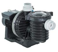 Pompe piscine STA RITE PENTAIR de 18 m3/h (1.5CV ) - Triphasé