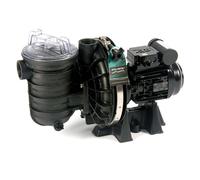 Pompe piscine sta-rite s5p2r 0,75 cv mono 12 m3/h - Sta-rite