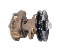 Pompe Pour Kohler 267373 246489 344089 Sherwood G906P G-906P G907P Eau De Mer Brute Avec Poulie JMP: JPR-KL101P2 Pompe à Eau