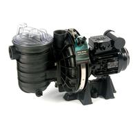 Pompe Sta-Rite 1.50 cv TRI eau salée