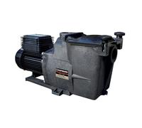 Pompe Super Pump 0,75 CV / 11 m³/h Mono - Hayward
