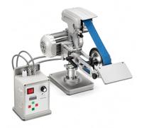 Ponceuse stationnaire 550 W avec 3 abrasifs, vitesse réglable 200-5000 tr/min, usage vertical ou horizontal pour métal et bois