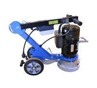 Ponceuses à sol DIAM INDUSTRIES PB-E250 + PN250B12 Ø250