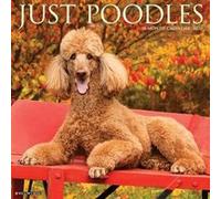 Poodles 2026 12 X 12 Wall Calendar - Willow Creek Press - Willow Creek Press Calendars - Livre en Anglais - Book Willow Creek PressWillow Creek Press (Auteur)