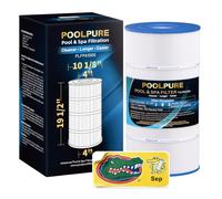 POOLPURE Filtre de Piscine PA100S remplace Hayward SwimClear C100S, CX100XRE, 100 m² 1 Cartouche de Filtre