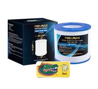 POOLPURE Filtre PAP50 remplace Clean & Clear 50, CC50, R173213, 59054000, PAP50-4, Filbur FC-0684, Ultral-C1, Unicel C-9405, Aladdin 15036, SD-00067, 50 m²