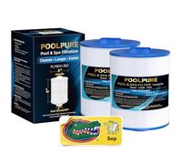 POOLPURE Filtre pour jacuzzi 6CH-352 remplace PAS40-F2M, Unicel 6CH-352, Filbur FC-0318, PMA-R1, X268546, 06-0055, 06-0014-12, cartouche filtrante MPT/mâle à filetage mâle pour spa
